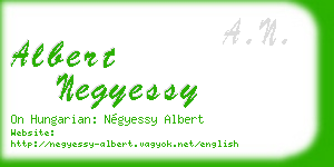 albert negyessy business card